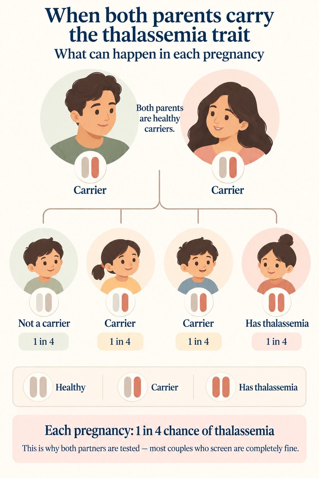 Diagram showing that when both parents carry the thalassemia trait, each pregnancy has a 1 in 4 chance of a child with thalassemia